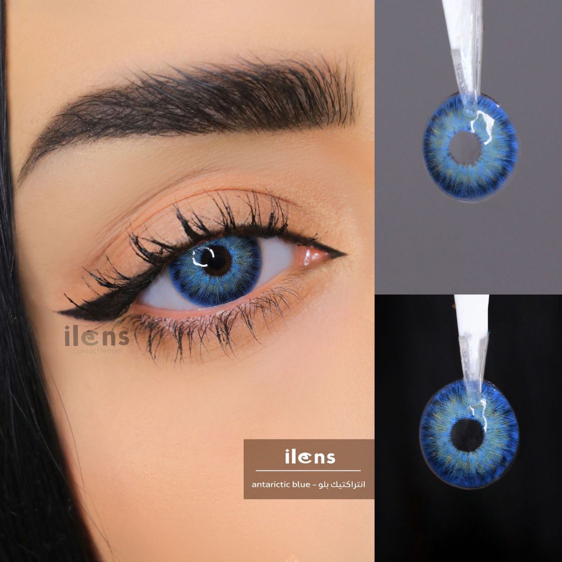 انتراكتيك بلو - Antarctic Blue